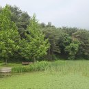 바람소리새소리 이미지