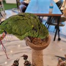 하이 에너지 이미지