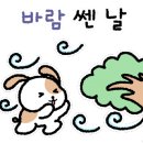 대림쌈밥 네이버블로그