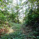 대청호 두메마을 이미지