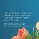수홍상사 | &lt;웹소설&gt; 황제와 비밀 연애중인데 나는 그걸 몰라 리뷰