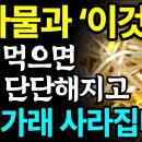 Re:콩나물밥과 쉬운 콩나물기르기 이미지