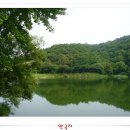 안국지 이미지