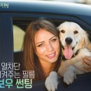 규니썬팅 이미지