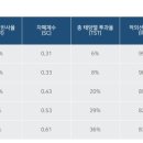 틴트게러지 이미지