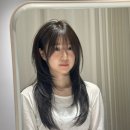 월드컵대로 147 | 부산 연산동 하이레이어드 맛집 헤어컨실팅 시술후기 하윤 디렉터