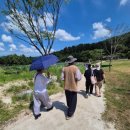 108 | 남양주 봉선사 고려 사찰과 연꽃, 구미 108산사 순례단 순례 후기