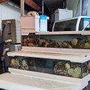 석화로 | [속초 해수욕장 포장마차거리]무한리필 조개구이, 냉삼, 석화 맛집! 조개마을