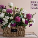 플로바이나