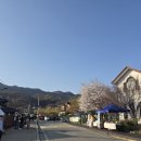 산수유파전빈대떡 | 이천 백사 산수유꽃축제 마지막 날에 간단하게 찍먹 즐기고 온 후기
