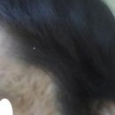 오렌지의원 이미지