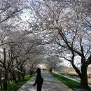 백구소공원 이미지