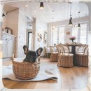 보령축협 동물병원 | 보령 강아지보호센터 선택 혈액검사 결과를 해석하는 전문가의 눈으로 비교해보았다