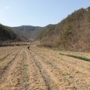 신왕농장 이미지