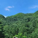 백둔리 주차장 이미지