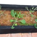 우네농장 이미지