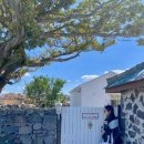 뉘드뽀즈 이미지