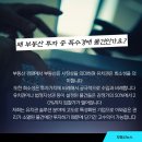 인스타부동산컨설팅