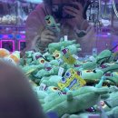 뽑고가냥 이미지