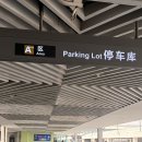 🇨🇳 상하이 수하물 배송(캐리어 배달), 푸동공항 디디택시, 상하이 수향마을(우전, 주가각, 판롱티엔디...