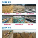 농협수삼랜드 - 14705 | 농협수삼랜드