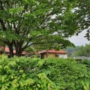 (주)다인돌봄