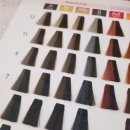 다운& | [송파] 헬리오시티미용실 박준뷰티랩 시세이도염색 톤다운 후기