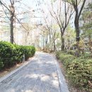 명인공인중개사사무소 네이버블로그
