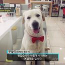 한성텔레콤 이미지