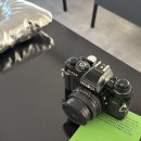 하천(대전천1) | 대전 은행동 애견동반 카페 필터커피 맛집 추천