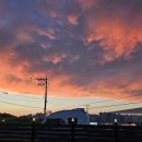 강아지 마을회관 이미지