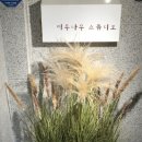 미루나무 | 서울/서초 필라테스프로필 촬영후기 미루나무 스튜디오 강남스튜디오