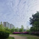 성화개신죽림동행정복지센터 이미지