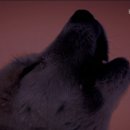 (주)청산녹수 이미지