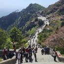 태산 티스토리