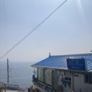 스테이 무코 이미지