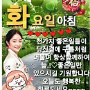 행복은 어디에서 오는가 - 안소니 M 그랜트 이미지