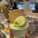 젤라뚜또 현대백화점 충청점 | 청주 디저트 맛집 현대백화점 충청점 젤라뚜또 내돈내산 후기⭐️