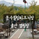 문수양궁장(주말) | 울산 문수힐링피크닉장 완전정복, 배달, 명당 후기 예약 꿀팁 총정리 해드릴게요.
