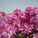 선경축산 이미지