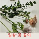 꽃꽂이(야) 이미지