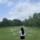 미랑다방