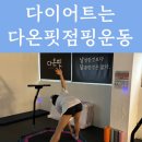 다온점핑다이어트 이미지