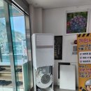장성삼성