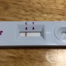 고려 유치원 이미지