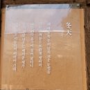 차 향기 속 세계사 기행 | 남도 문학기행을 겸한 배롱꽃 탐방 : 명옥헌원림 - 미당 서정주생가 - 선운사(25.9.5)
