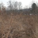 영태1리 마을회관 이미지