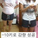운동없이 뱃살빼는법(다이어트-10kg)