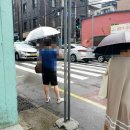 버스정류장 옆 횡단보도 이미지