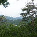 뒤태봉(95m)앞태봉(96m)삼태기산(229m)국사봉(207m)금사봉(237m)금봉산(236m)/경기광주 이미지